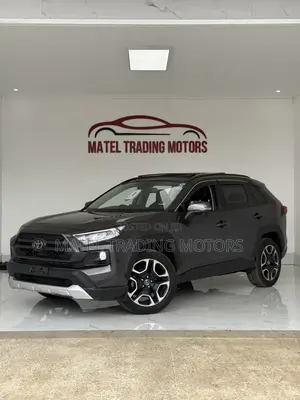 Toyota RAV4 Adventure 2019 Gray