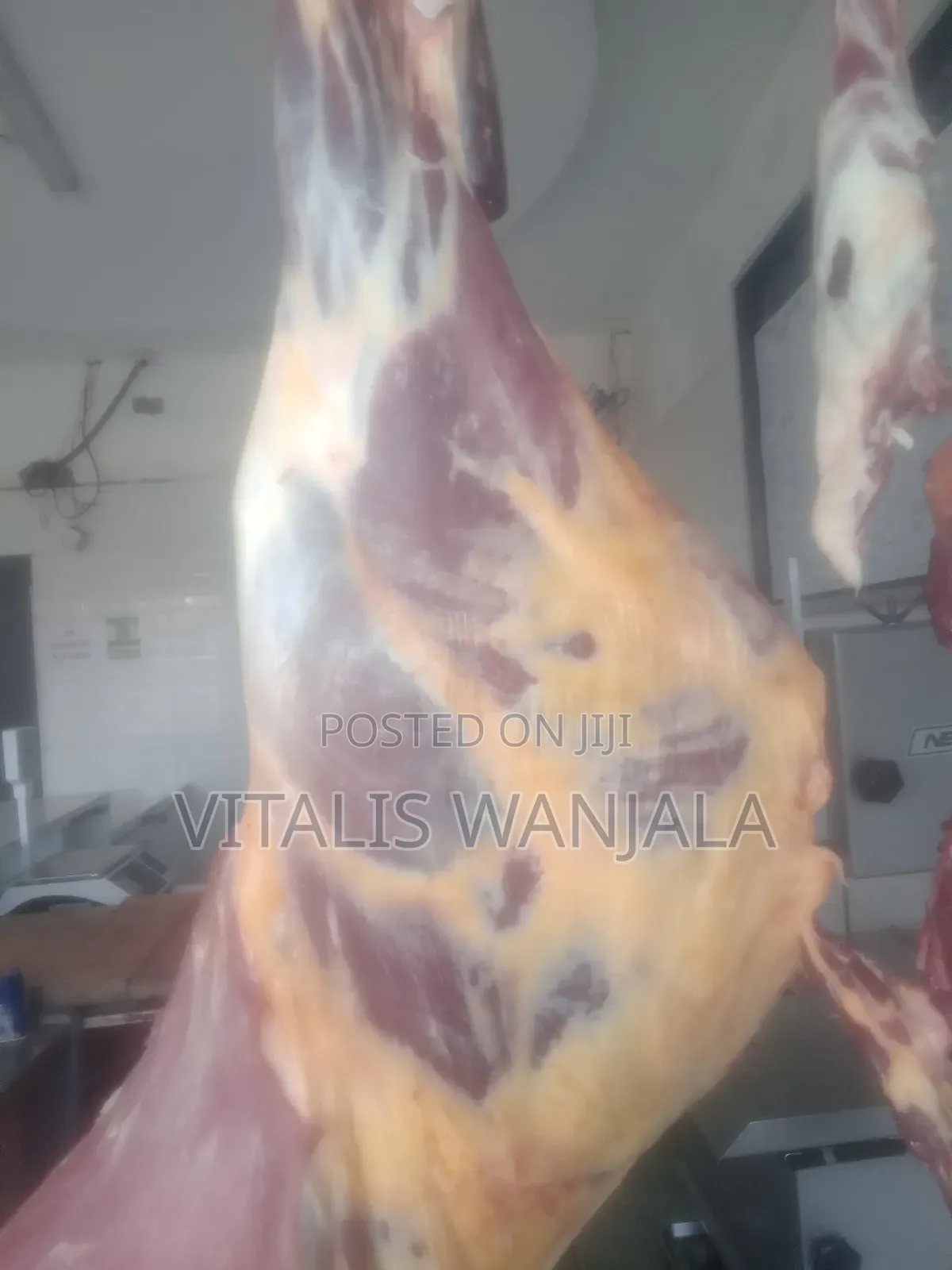 Beef  and Chicken Raw