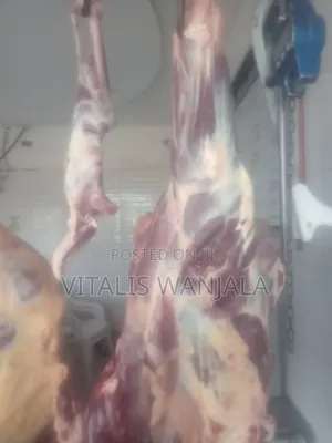 Beef  and Chicken Raw