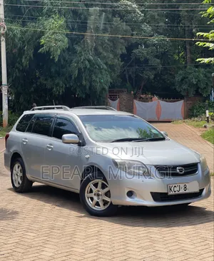 Toyota Corolla Fielder 2009 Silver