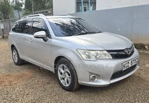 Toyota Corolla Fielder 2013 Silver