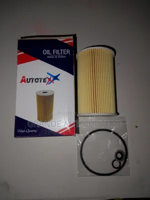 Oil Filter Hyundai Ix35 (Autotex Brand)