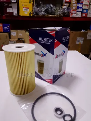 Oil Filter Hyundai Ix35 (Autotex Brand)