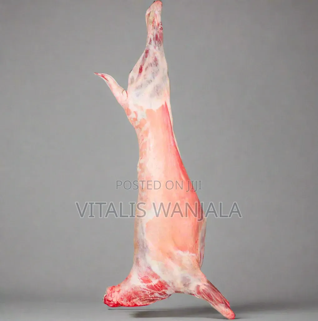 Beef  and Chicken Raw