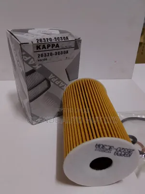 Oil Filter Diesel Hyundai Ix-35 (Kappa Brand)