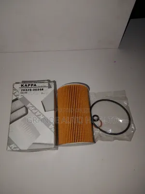 Oil Filter Diesel Hyundai Ix-35 (Kappa Brand)