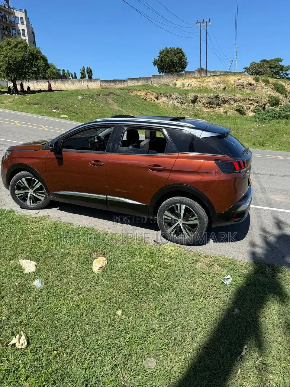 Peugeot 3008 2018 Brown