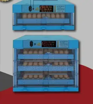 64 Eggs Incubator