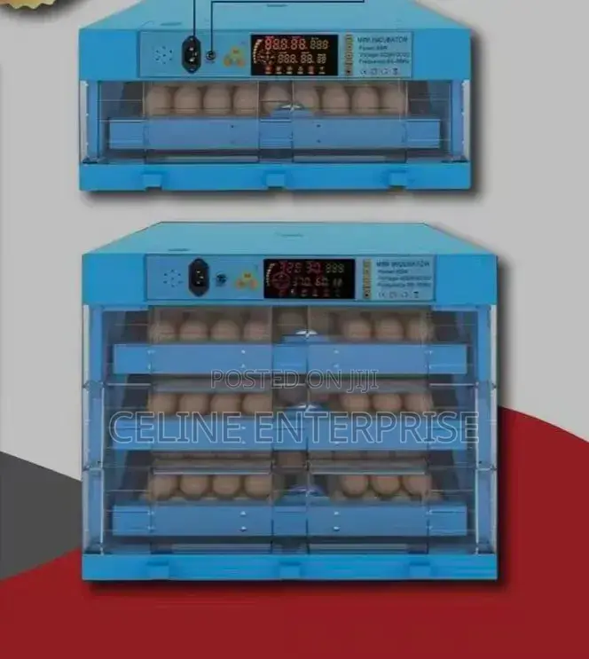 64 Eggs Incubator