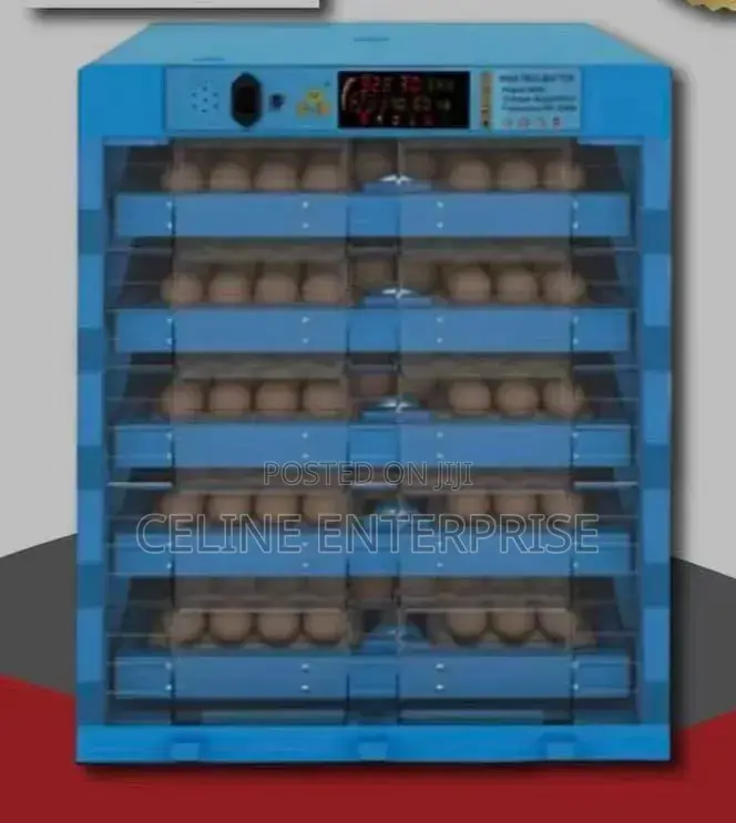 256 Eggs Incubator