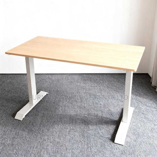 Electric Sit Stand Standing Desk