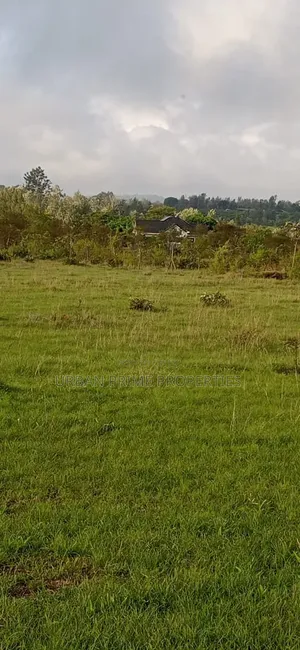 Plots for Sale Below