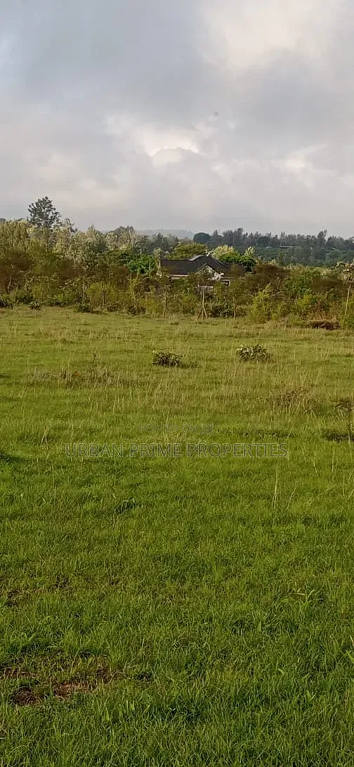 Plots for Sale Below