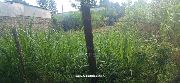 Plot for Sale