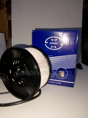 Fuel Filter Hyundai Palisade 2021 Diesel (Hasaki Brand)