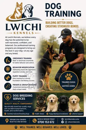 Dog Trainer