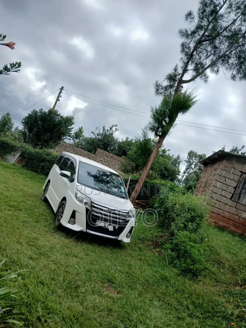 Car Rental
