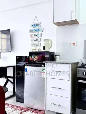 Furnished Studio BNB Ngara
