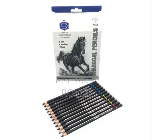 12pcs Charcoal Pencils - thumbnail 4