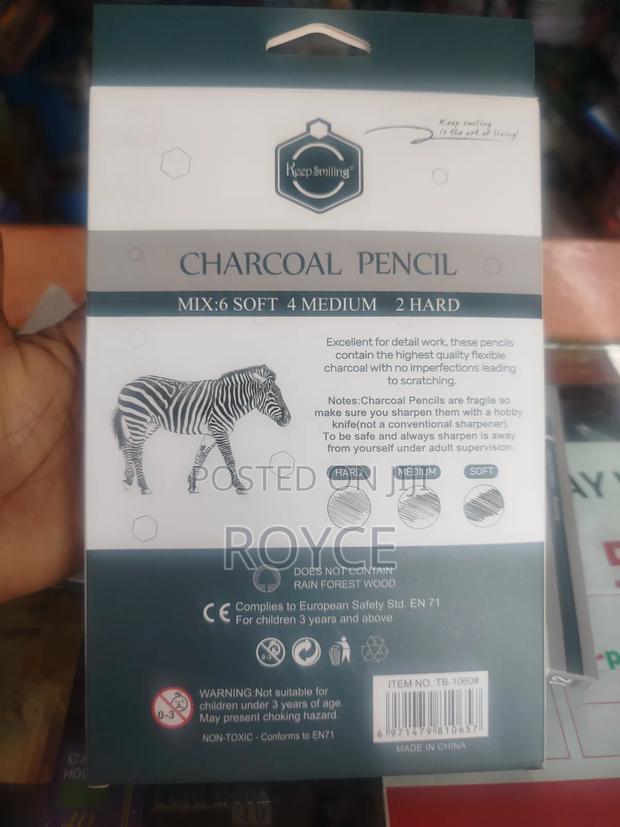 12pcs Charcoal Pencils - thumbnail 7