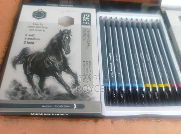 12pcs Charcoal Pencils - thumbnail 2