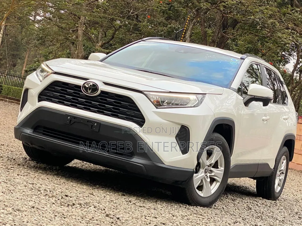 Toyota RAV4 2020 Pearl