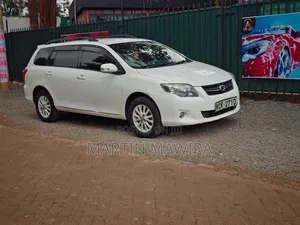 Toyota Corolla Fielder 2010 White