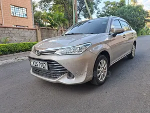 Toyota Axio 2015 Gray