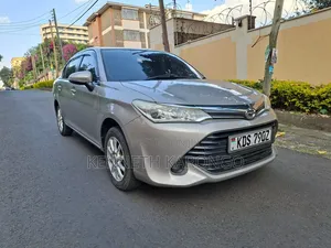 Toyota Axio 2015 Gray