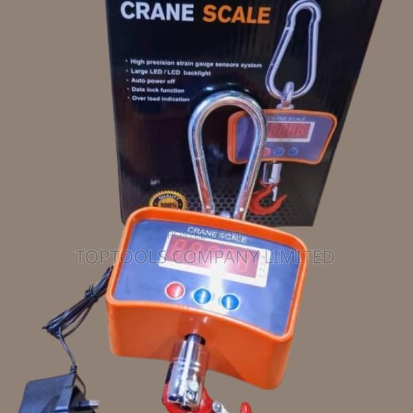 500kgs Crane Scale