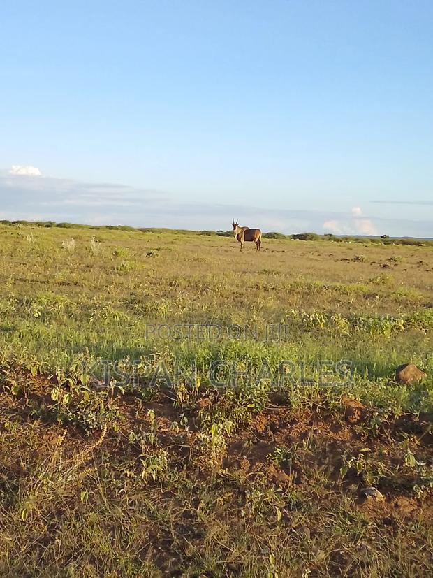 Ready Title 10acres Kimana Land - thumbnail 2