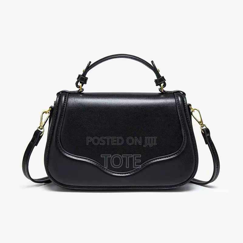 Zara Handbag