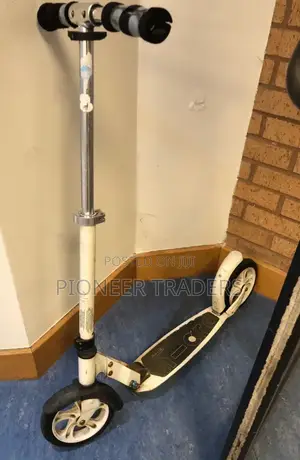 Adult/Teenager Scooter Metallic