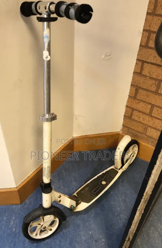 Adult/Teenager Scooter Metallic