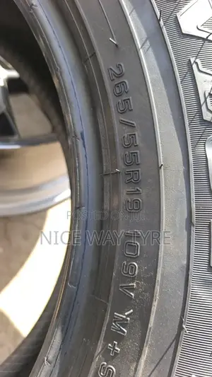 265/55r19 Dunlop Tyre