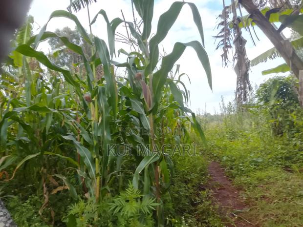 Plot On Sale In Banana Hill Kiambu - thumbnail 4