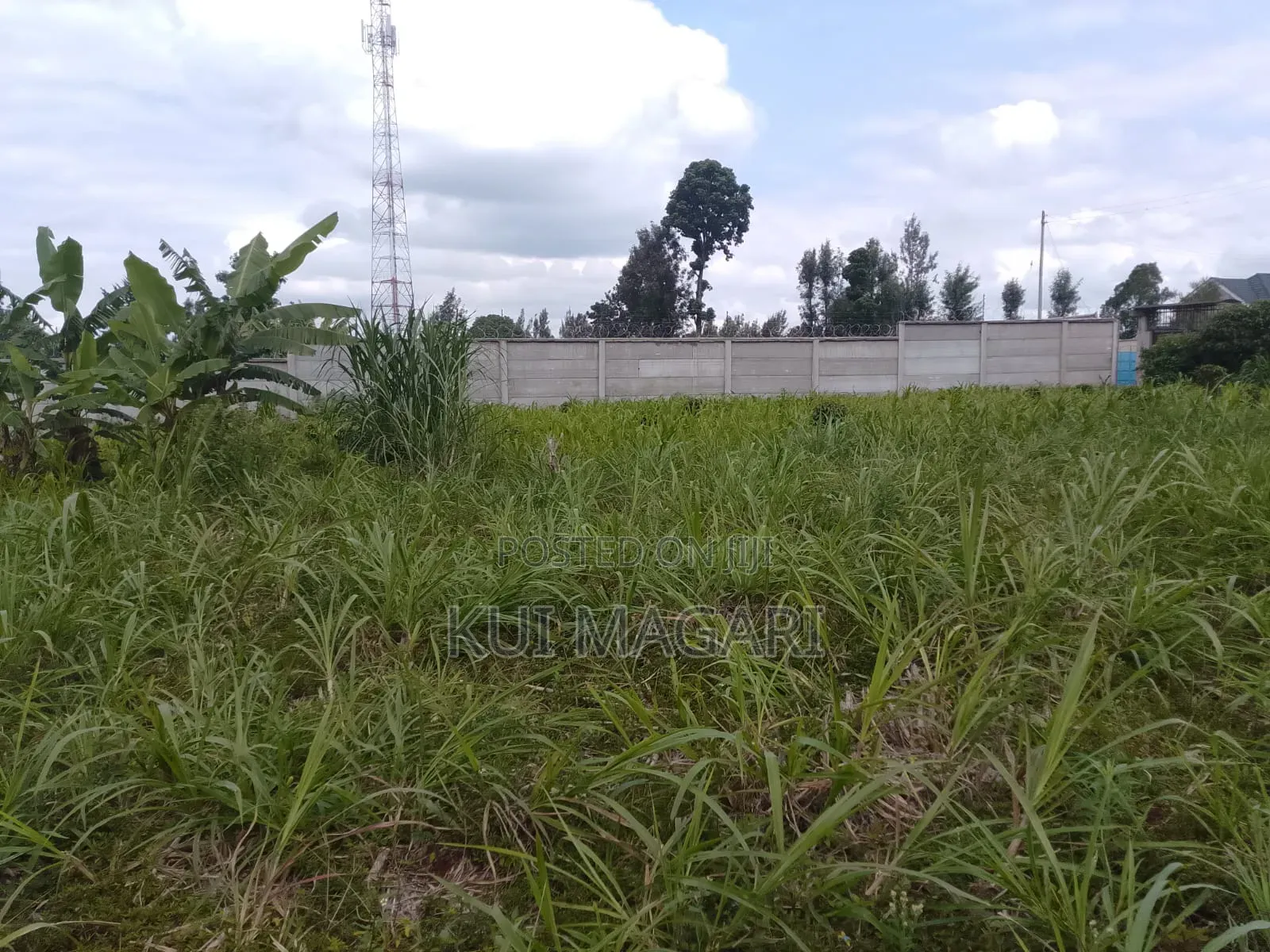 Plot On Sale In Banana Hill Kiambu