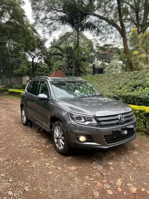 Volkswagen Tiguan 2014 Gray