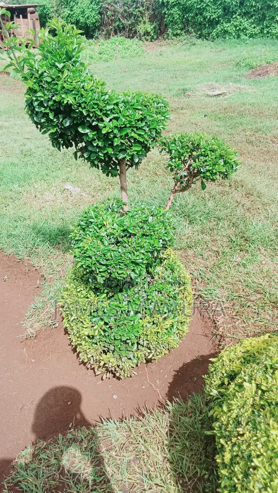 Am General Duty Worker