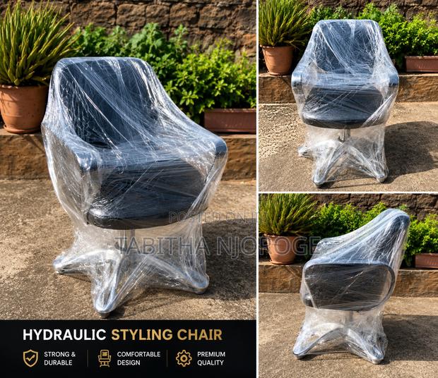 Salon Hydraulic Styling Chairs