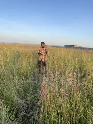 Land Surveyor