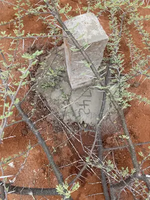 Land Surveyor