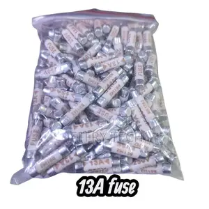 13a Fuse,100pcs
