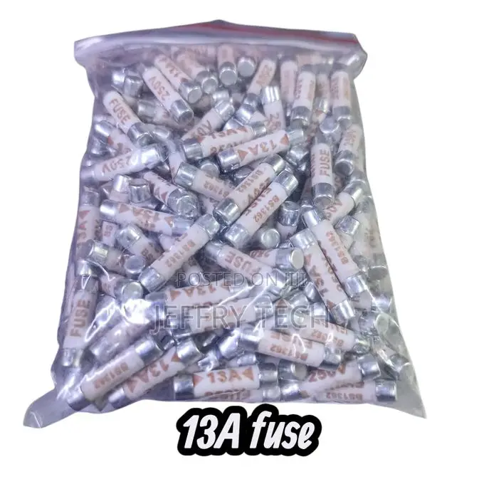 13a Fuse,100pcs