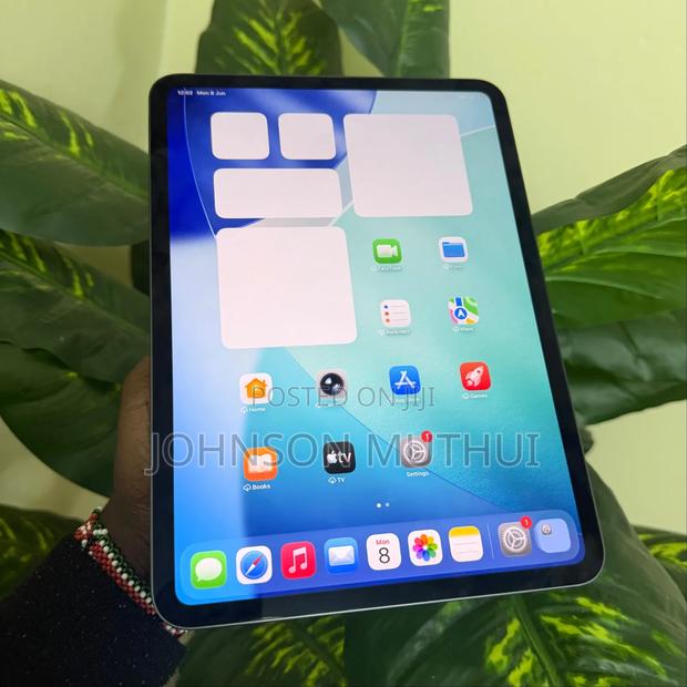 Apple iPad Pro 11 (2024) 256 GB Gray