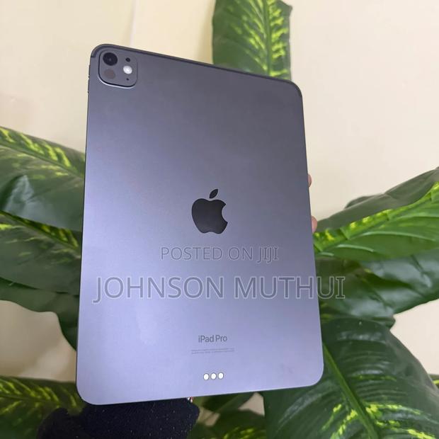 Apple iPad Pro 11 (2024) 256 GB Gray - thumbnail 2