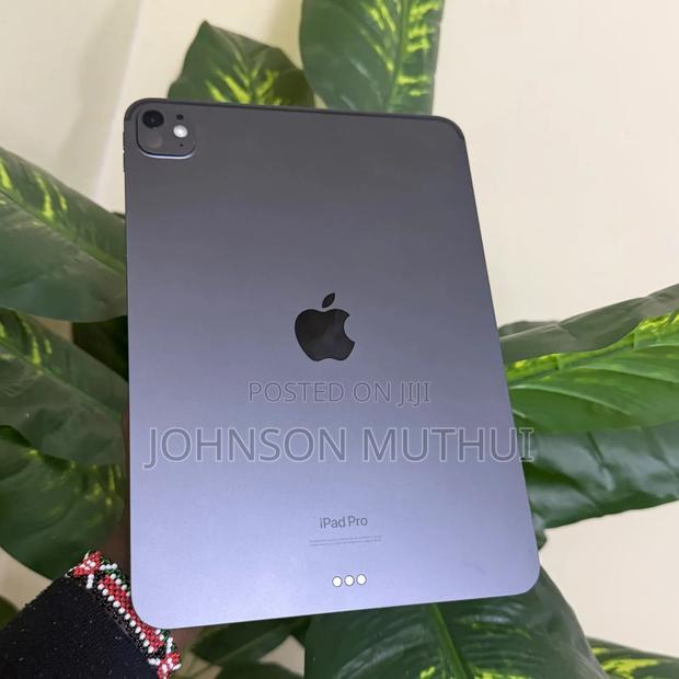Apple iPad Pro 11 (2024) 256 GB Gray - thumbnail 3