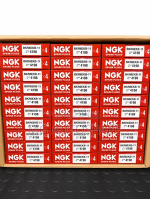 NGK Spark Plug