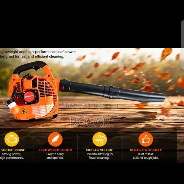 Premier 2 Stroke Power Blower