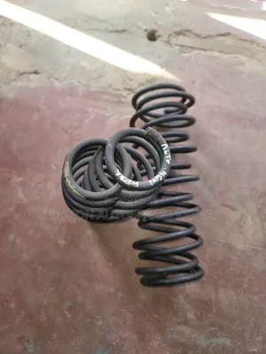 Alto 2015-2018 Heavy Duty Coil Springs